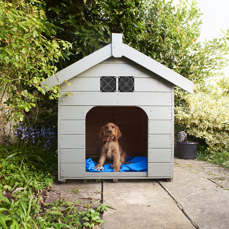 NewKoor Solar Powered Fans for Greenhouse, Chicken Coop, Shed, Pet Houses - Image 4